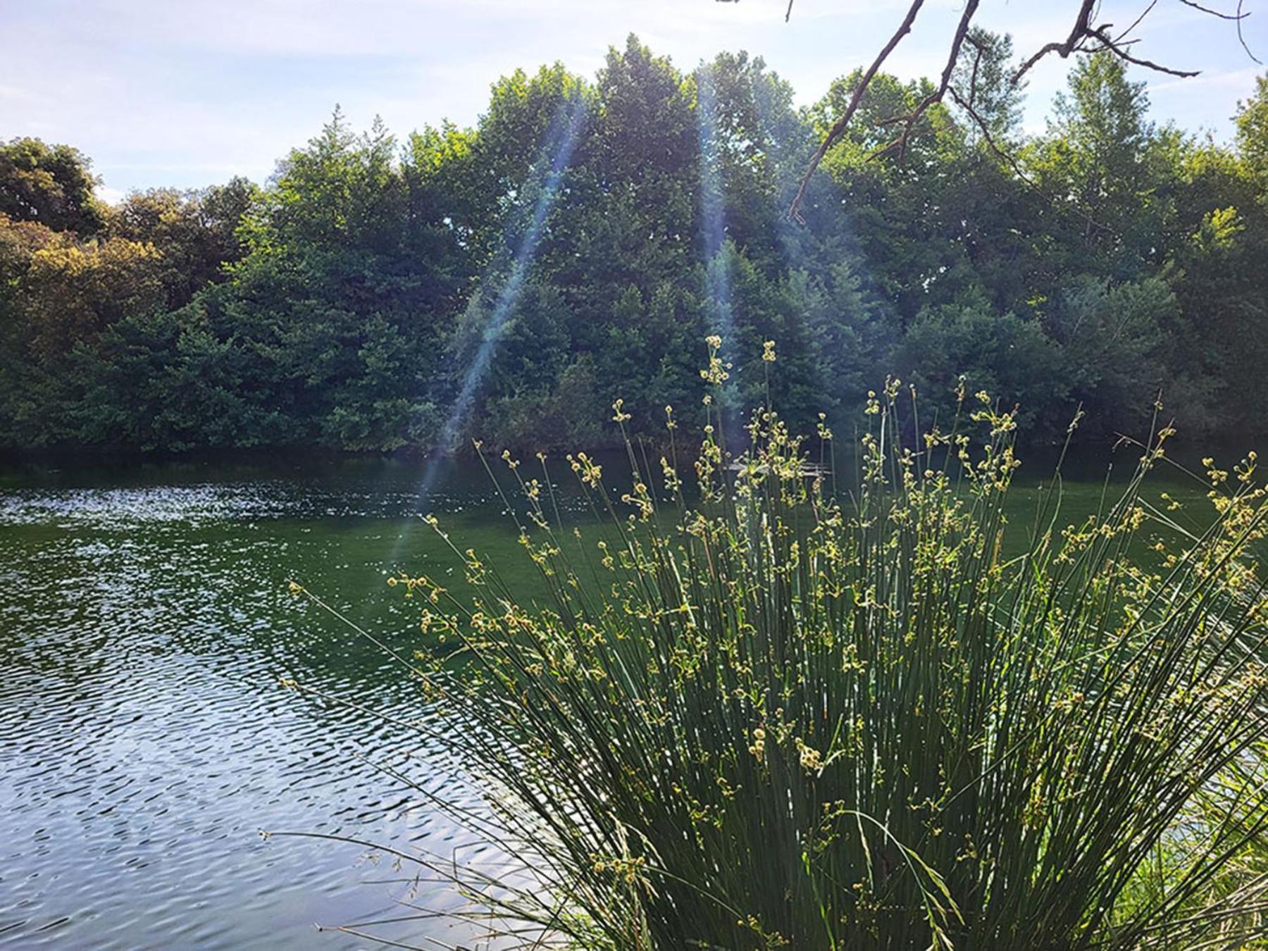 Camping Le Val De Cesse Mirepeisset 외부 사진