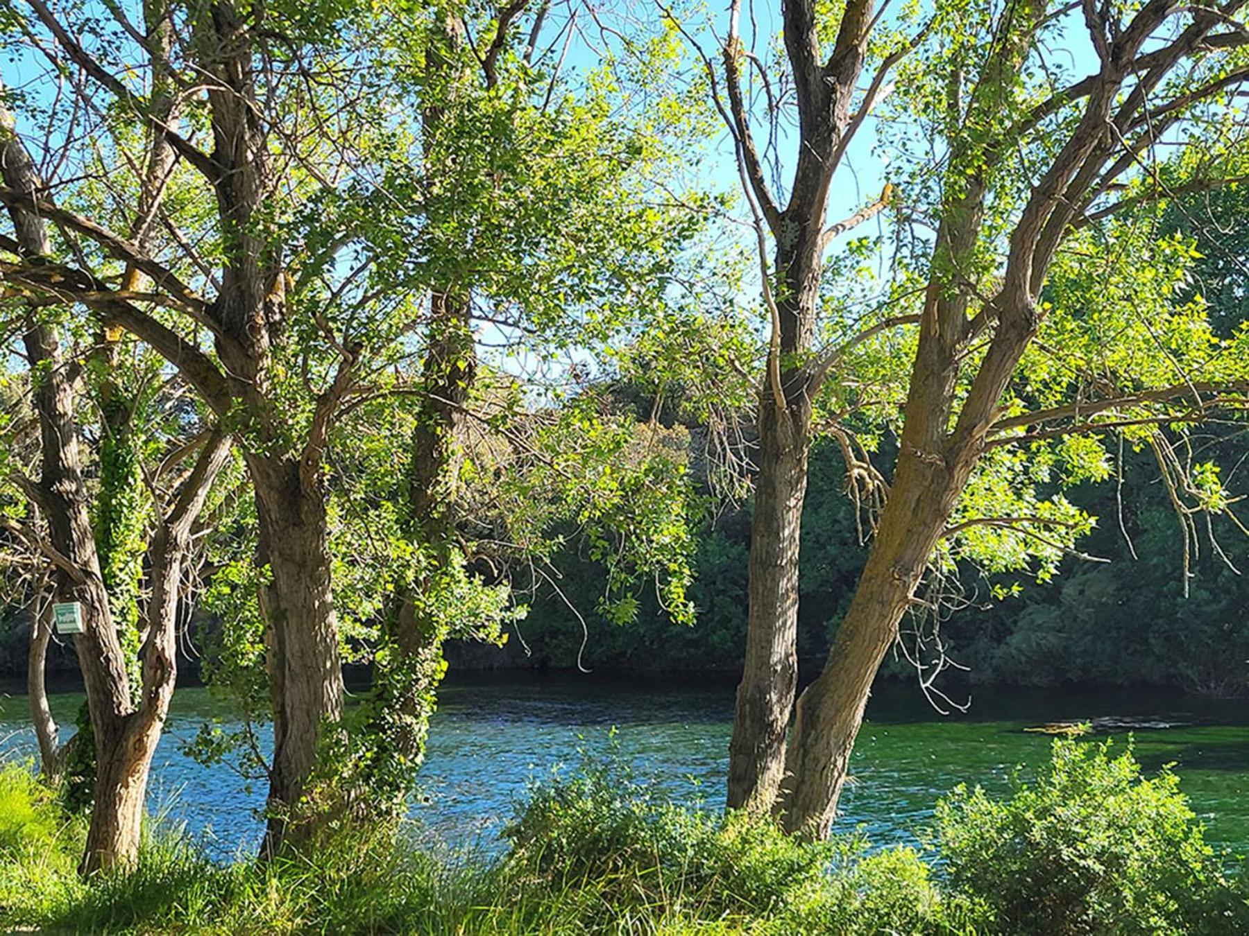 Camping Le Val De Cesse Mirepeisset 외부 사진