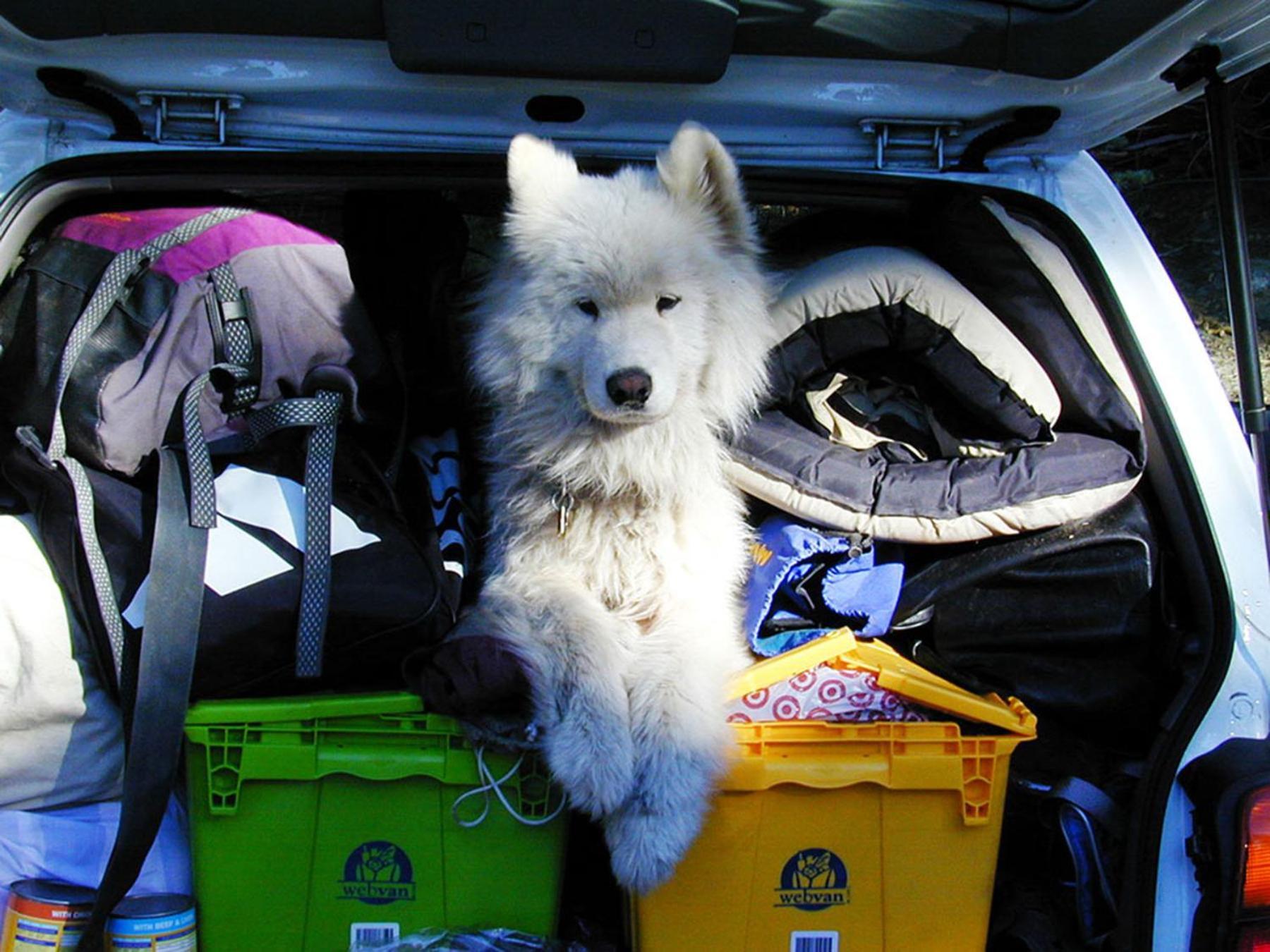Camping Le Val De Cesse Mirepeisset 외부 사진